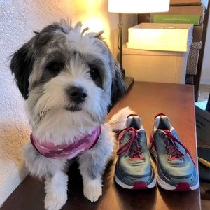 Hoka One One Bondi 5.